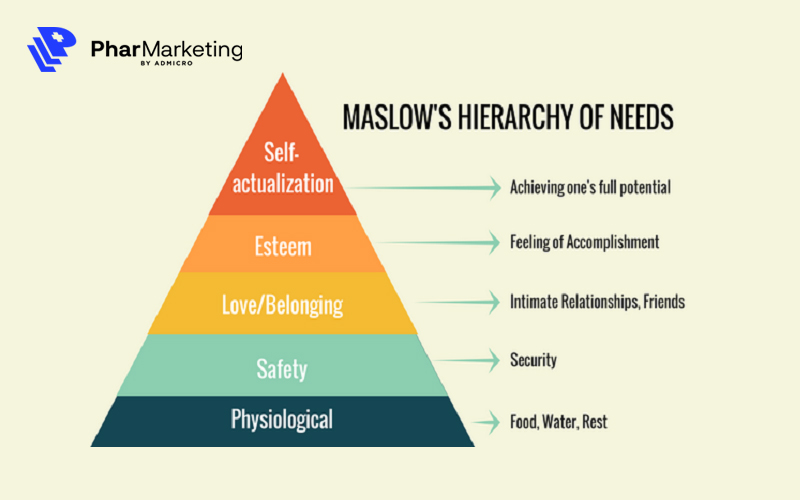 Tháp nhu cầu của Maslow phân chia nhu cầu của con người thành 5 bậc